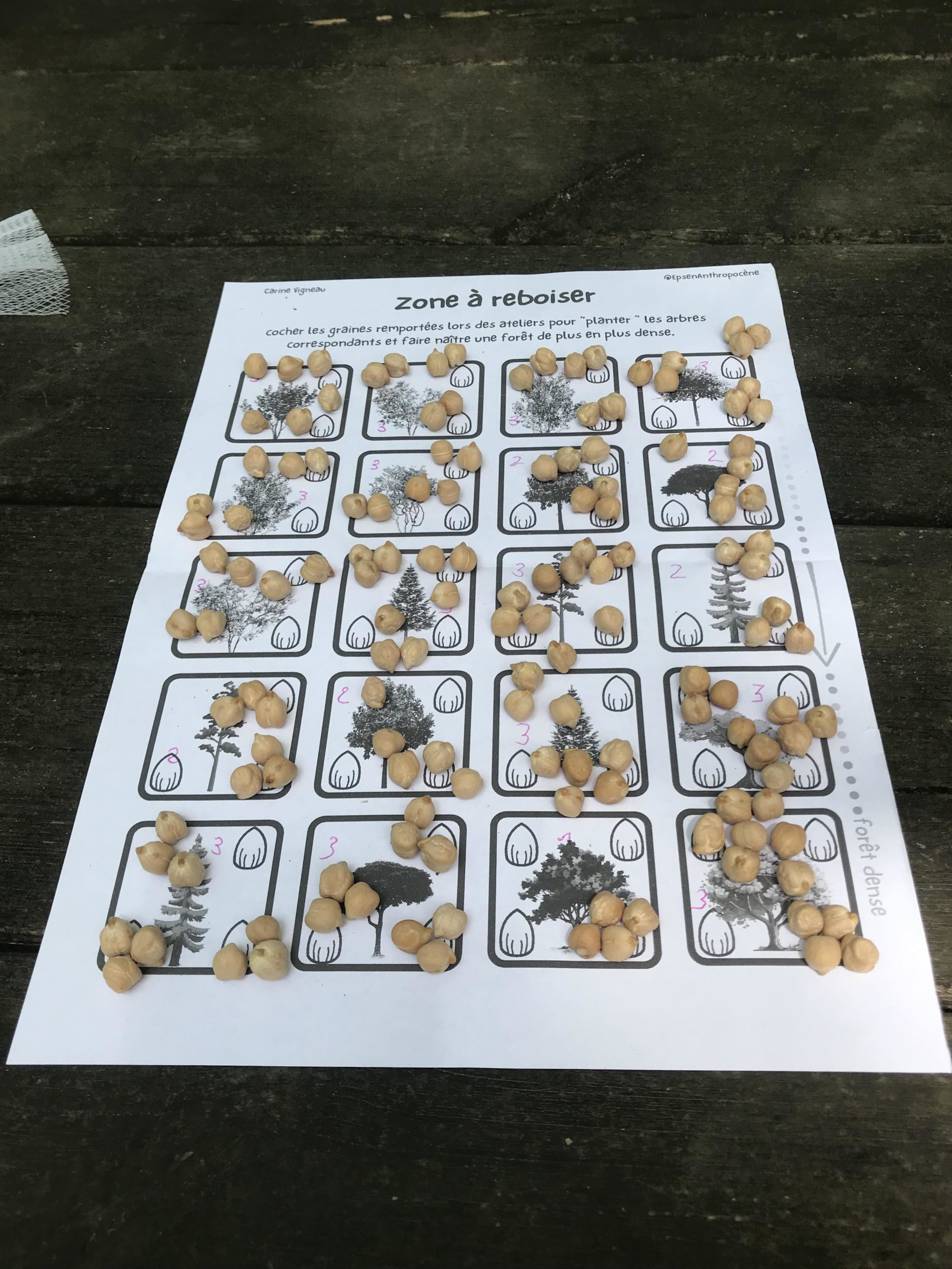 décompte des points