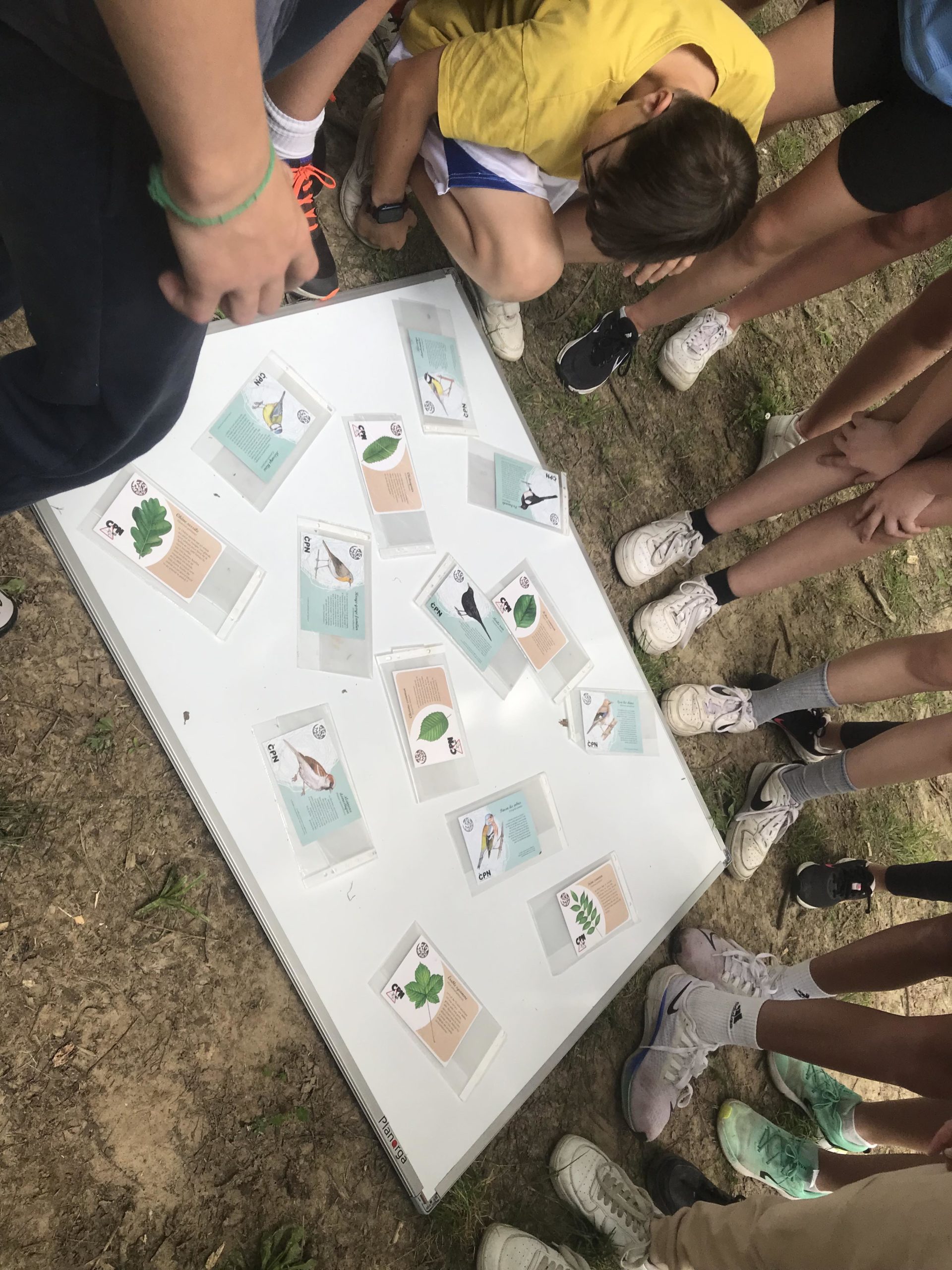 balises course orientation