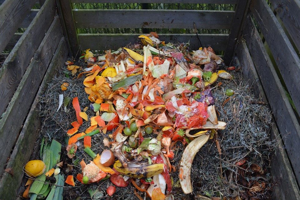 Où trouver un bac de compost pour la cuisine? Et pourquoi c'est important  de composter?