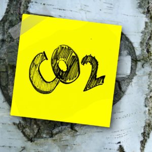 CO2 bas carbone