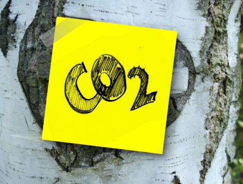 CO2 bas carbone
